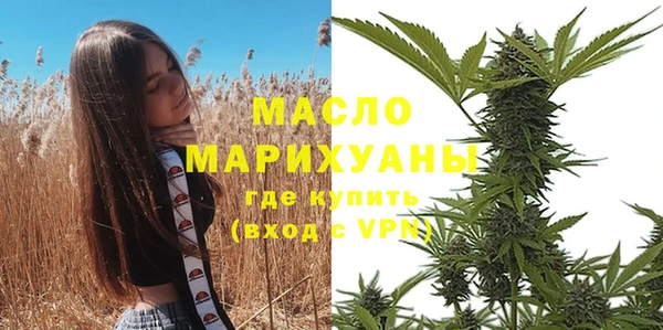 прущий лед Вяземский