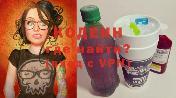 прущий лед Вяземский