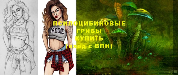прущий лед Вяземский