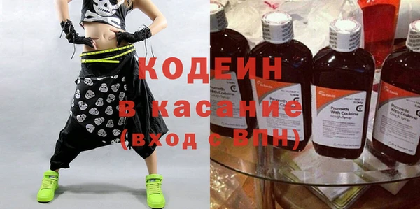 прущий лед Вяземский