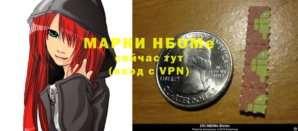 прущий лед Вяземский