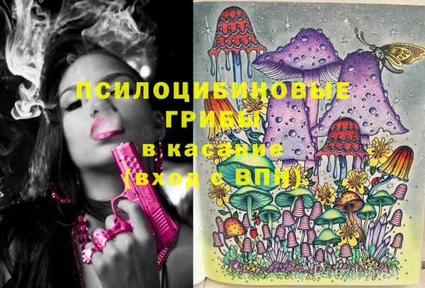 сатива Вязники