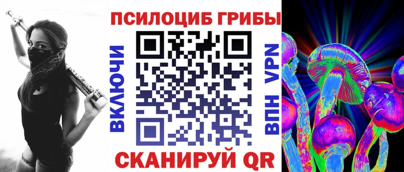 Купить  Приволжск  Галлюциногенные грибы Cubensis 